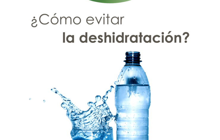 ¿Cómo evitar la deshidratación?