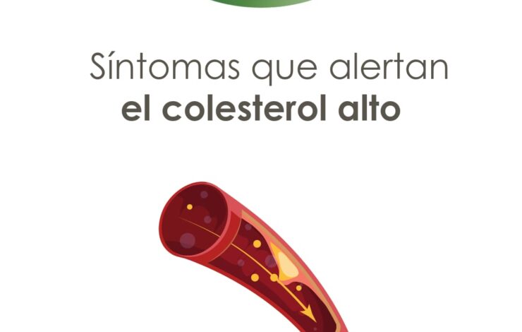 Síntomas que alertan el colesterol alto